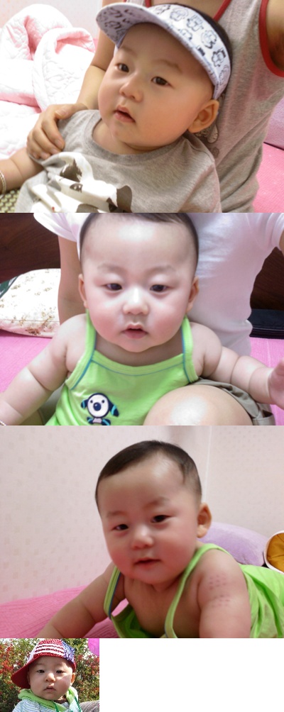 사용자 삽입 이미지
