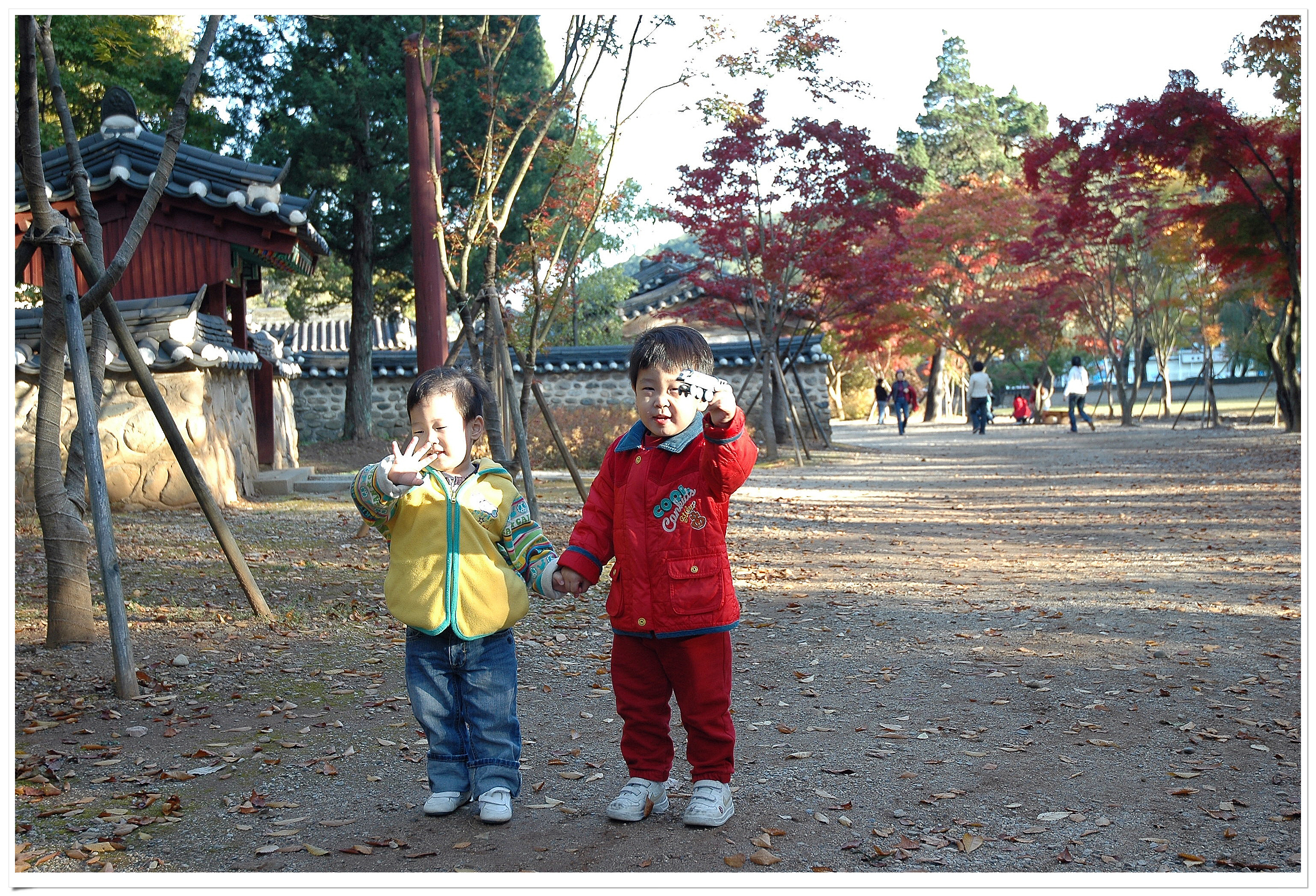 사용자 삽입 이미지