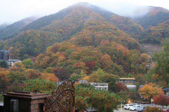 사용자 삽입 이미지